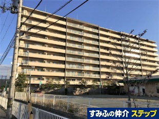 �A�[�N���W�f���X��藧��