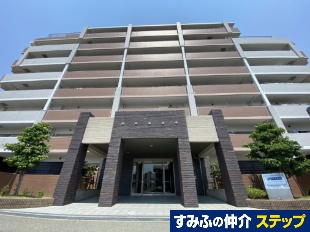 �N�����B�A���ɔV��