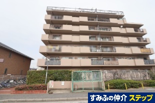 �n�C�c�ˌ���