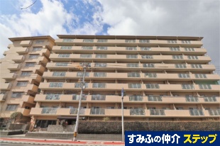 ���F�����T�j�[�n�C�c