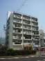 TnCcb