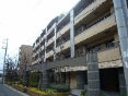 RXV[TCheX