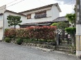 sV삪QڌÉƕtyn