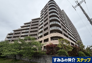 �g�[�J���W�F�l���X�����P�u�X�e���V�e�B