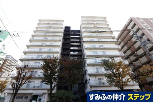 ���������n�C�c