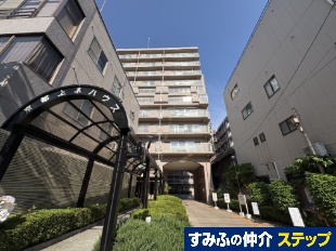 s㋞nEX