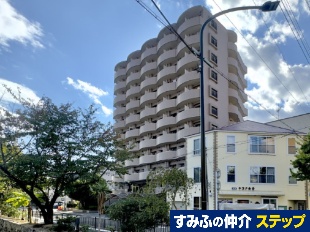 �����v���U������