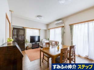 �X�e�C�c���΋ʐ�V��