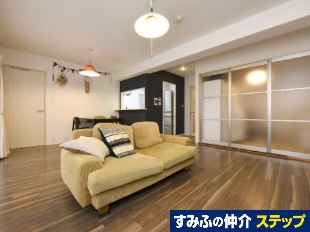 �i�`�����K�[�f�����̌��@�Q�Ԋ�