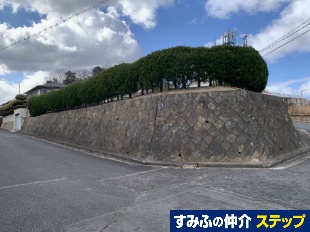 ޗǎsDcTړyn