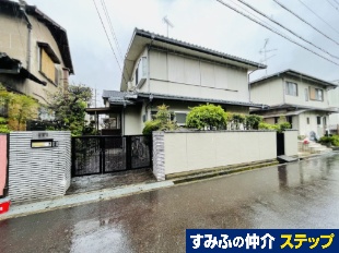 zsc䌚tyn