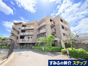 ���C�V���g������