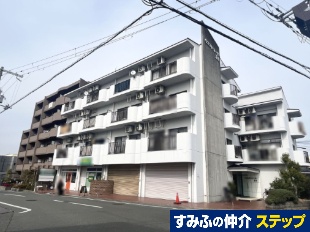 ��s����[�䐴�����꓏���v