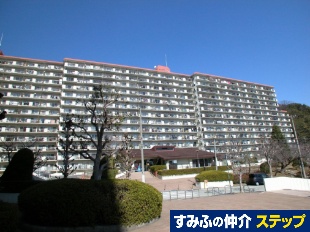 TnCcˌ܌`