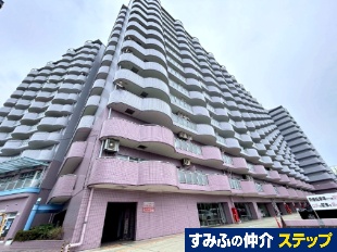 Ve쐼T