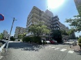 Rg[nCcׂb