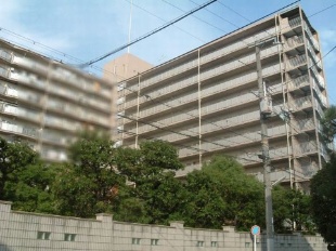 [YZ