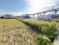 茨木市豊川三丁目土地