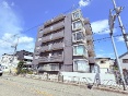 L쓌VeBnEX