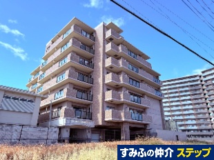 ���C�I���Y�}���V������������Q