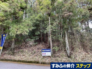 �O�c�s�؊�y�n