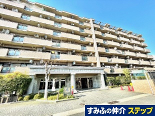 �p�f�V�I���F���O���ˇU�Ԋ�