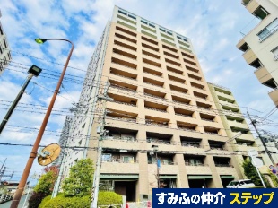 �f�B�[�N���f�B�A���c�w�O