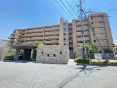 RX