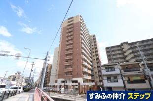 CVg䕼wO