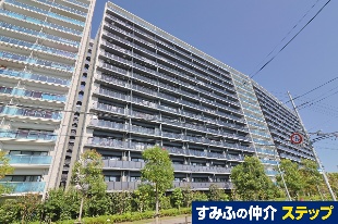 VeBeX_wOra