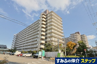 jnCDP