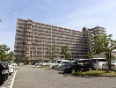 jnCDQ