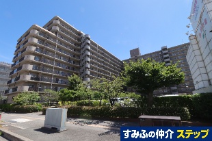 pN]M