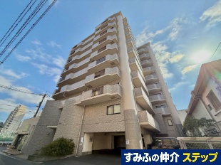 �A���j�e�B���c