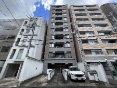 vlVA̎qr