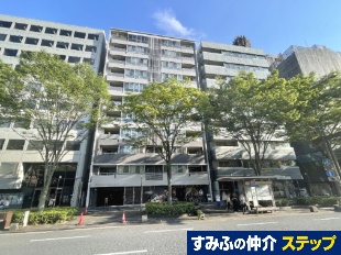 �G�X���[�h�G�ی�r