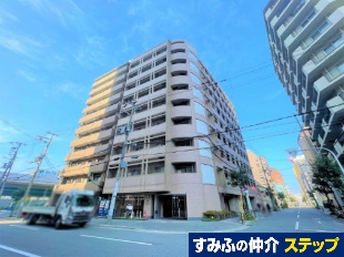 �G�X�e���R�[�g�V���V�X�e�[�V�����v���U