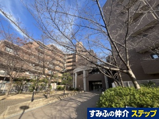 �_�C�A�p���X�����R�c�r����