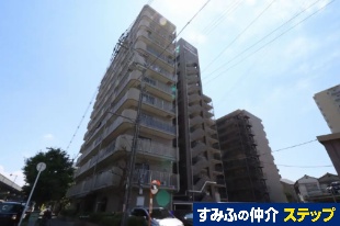 ���C�I���Y�}���V������^