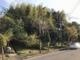 sRyn