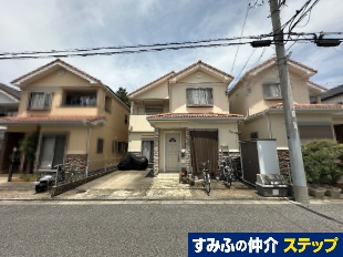 s攪ckˌ