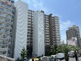lok`y`䓌