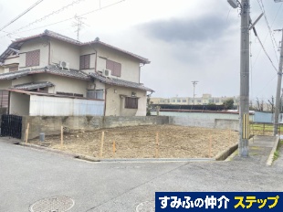 zscmyn