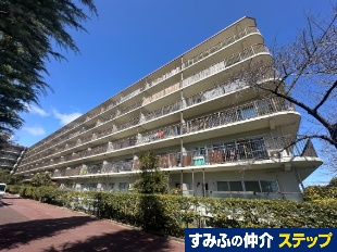 �R�g�[�n�C�c������ׂ`��