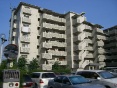 VeBBacwO