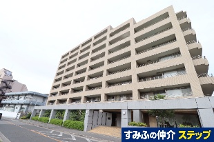 fBAXe[W[䐅r