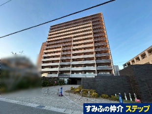 ���F���e�x�c��