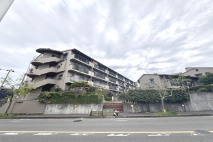 �R�[�|�݂͂�