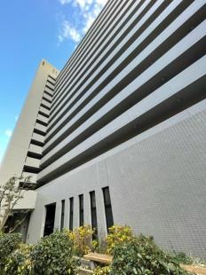 ���W�f�B�A���V��