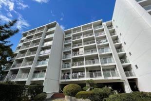 ���]���痢�@�c�S��